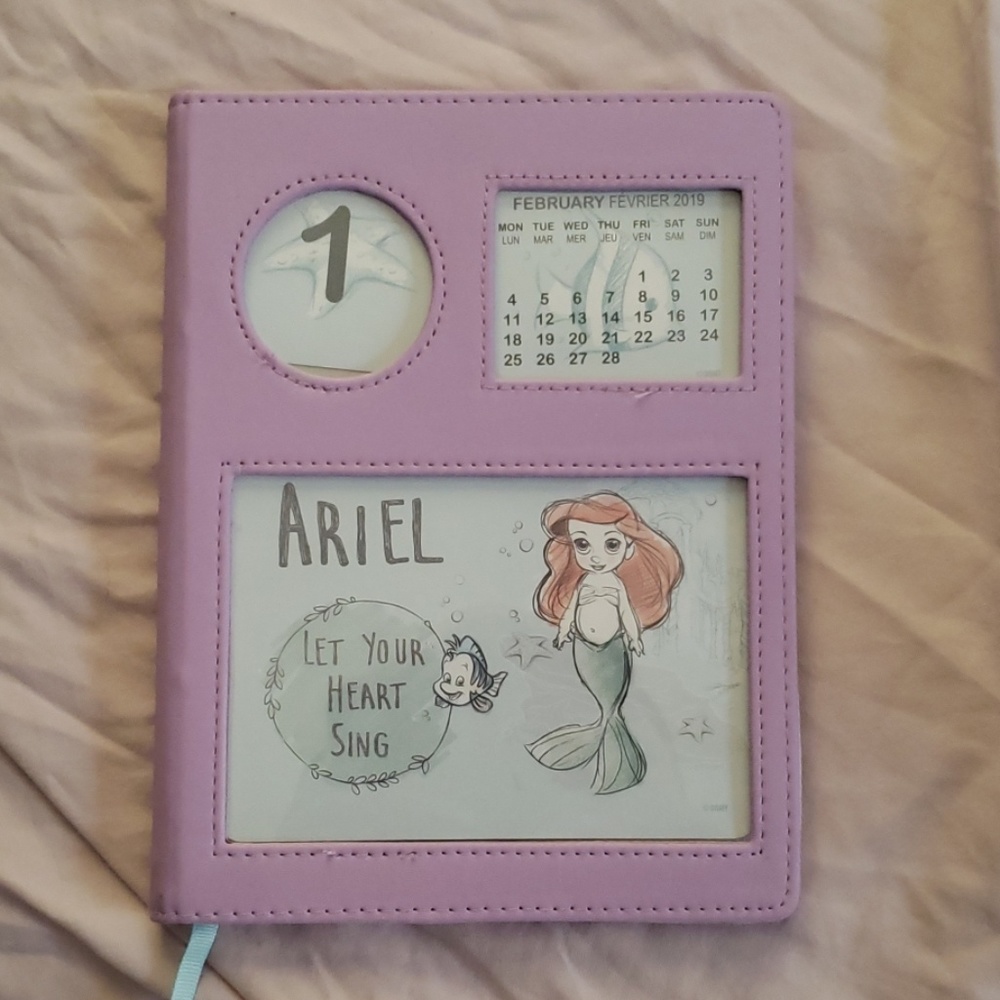 Journal